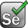 Inicio 25 Logo Selenium